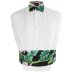Bird of Paradise Cummerbund and Bow Tie Set