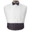 Multicolor Cummerbund and Bow Tie Set