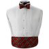 Plaid Cummerbund and Bow Tie Set
