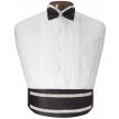 Rhinestone Shimmer Cummerbund and Bow Tie Set