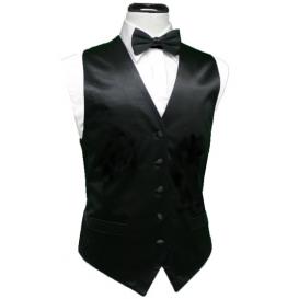 Solid Silk Vest and Tie Set