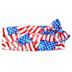 Patriotic Cummerbund and Bow Tie Set