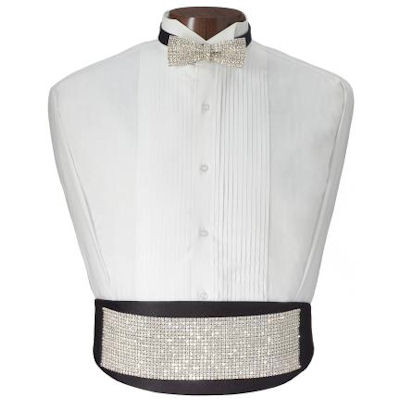 Rhinestone Glitz Cummerbund and Tie Set 