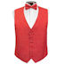 Hearts Tuxedo Vest and Bow Tie Set