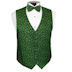 Sparkling Shamrocks Tuxedo Vest and Tie Set