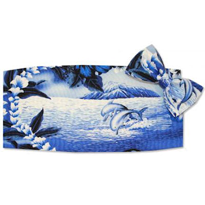 Dolphin Cummerbund and Bow Tie Set