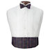 Multicolor Mardi Gras Tuxedo Cummerbund and Bow Tie Set