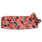 Old Glory Cummerbund and Tie Set