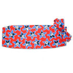 Mickey Mouse Star Cummerbund and Bow Tie Set