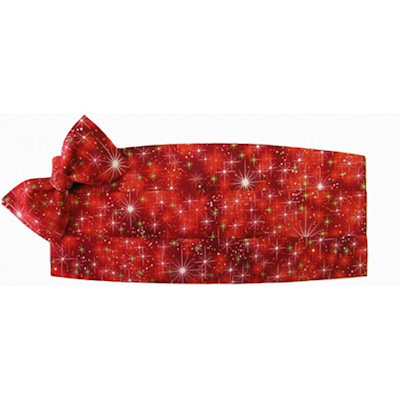 Holiday Sparkle Cummerbund and Tie Set