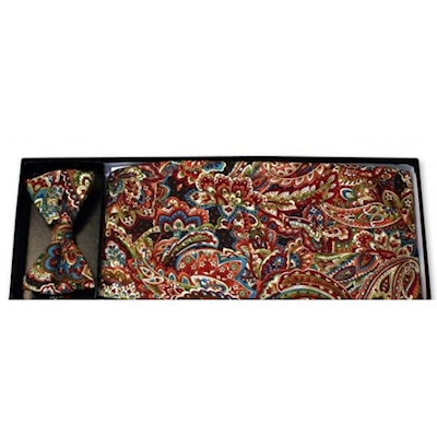 Multi-Color Paisley Cummerbund and Tie Set