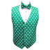 Saint Patrick's Shamrocks Cummerbund and Tie Set