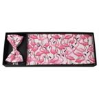 Flamingo Fun Cummerbund and Bow Tie Set