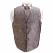 Brandon Michael Paisley Vest and Tie Set