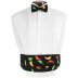 Chili Peppers Cummerbund and Bow Tie Set