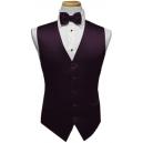 Custom Color Premier Vest and Tie Set