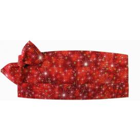 Cummerbund and Bow Tie Set
