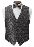 Joseph Abboud Paisley Vest and Tie Set