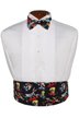 Looney Tunes Cummerbund and Bow Tie Set