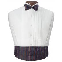 Multicolor Cummerbund and Bow Tie Set