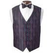 Multicolor Vest and Bow Tie Set