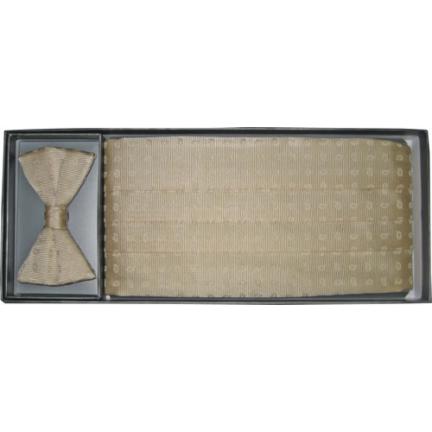 Perry Ellis Small Paisley Cummerbund and Bow Tie Set